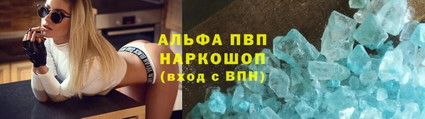 метадон Богданович