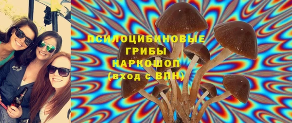 метадон Богданович